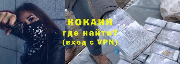 ПСИЛОЦИБИНОВЫЕ ГРИБЫ Михайлов