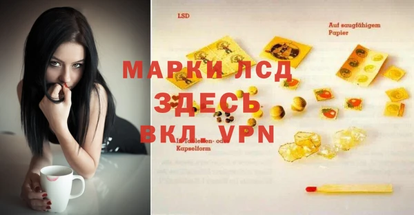 стафф Михайловка