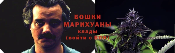 ПСИЛОЦИБИНОВЫЕ ГРИБЫ Михайлов