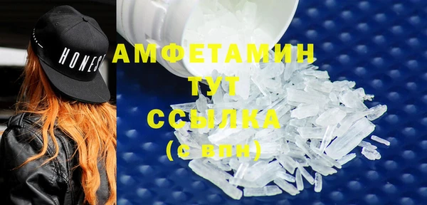 ПСИЛОЦИБИНОВЫЕ ГРИБЫ Михайлов