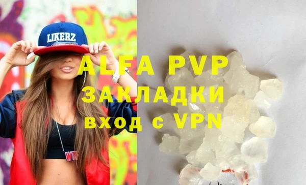 ПСИЛОЦИБИНОВЫЕ ГРИБЫ Михайлов