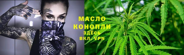 ПСИЛОЦИБИНОВЫЕ ГРИБЫ Михайлов