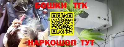 дмт Заводоуковск