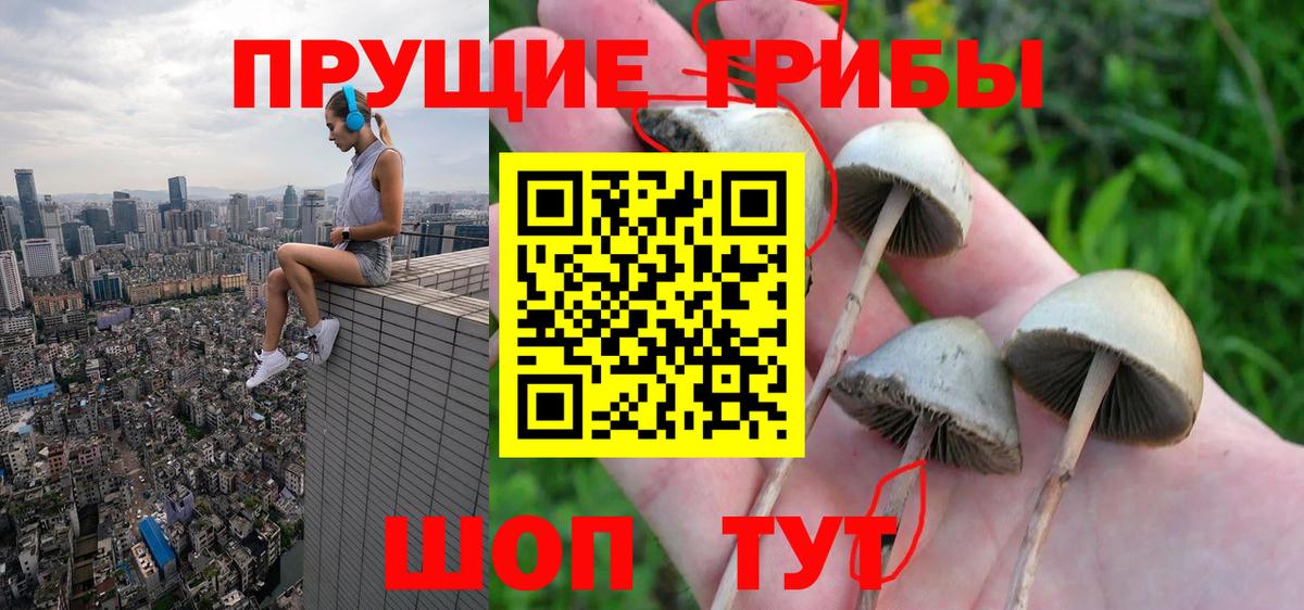 Галлюциногенные грибы GOLDEN TEACHER  Псилоцибиновые грибы Psilocybe  закладка  Новокузнецк  Вход с VPN 